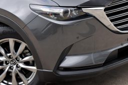
										2019 Mazda CX-9 Touring 2.5L Auto FWD full									